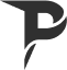 paladiumwebstore.pages.dev favicon